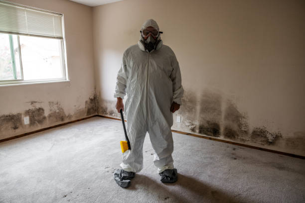 Aragon, GA Mold Remediation Company